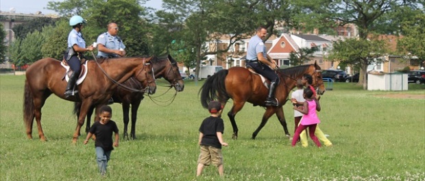 resize national night horse